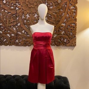 Hot Pink Strapless Dress by Max and Cleo